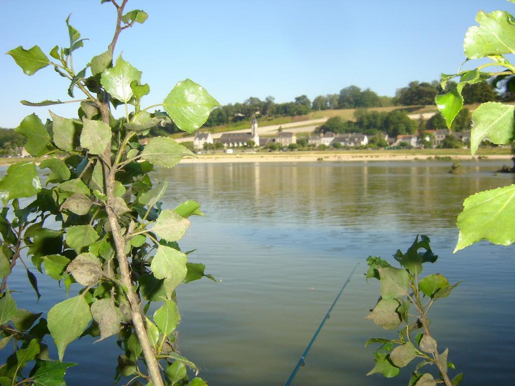 Les Bords De Loire Apartment Veuves Ruang foto